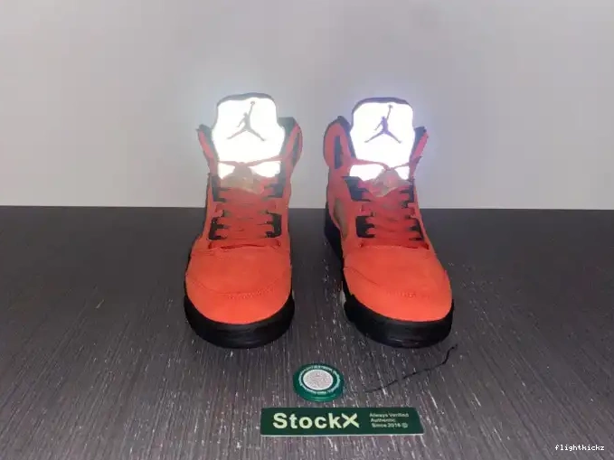 Air For Mars Jordan DD9336-800 WMNS Her 5 0621